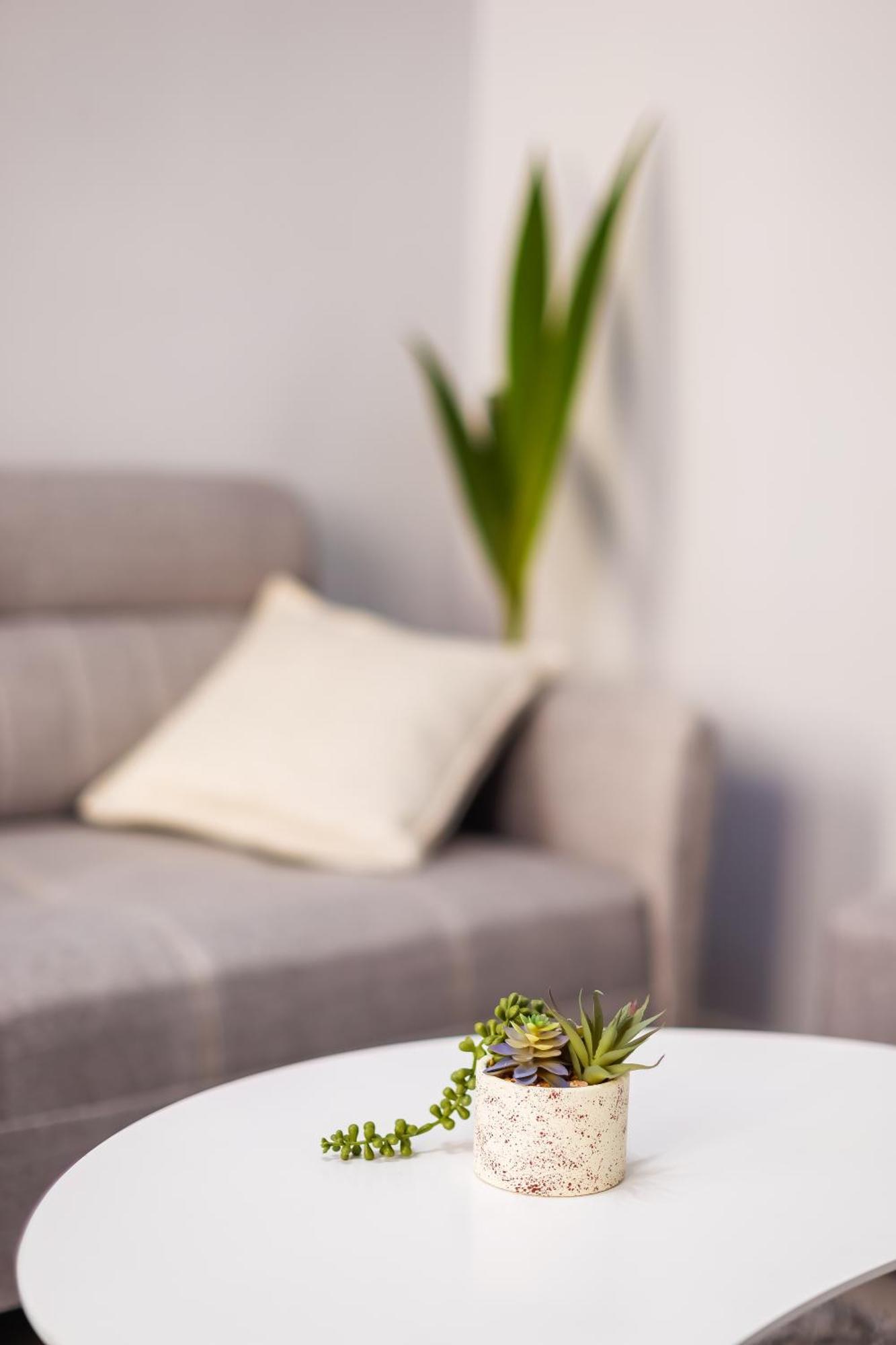Viewpoint Central Apartment Тирана Екстер'єр фото
